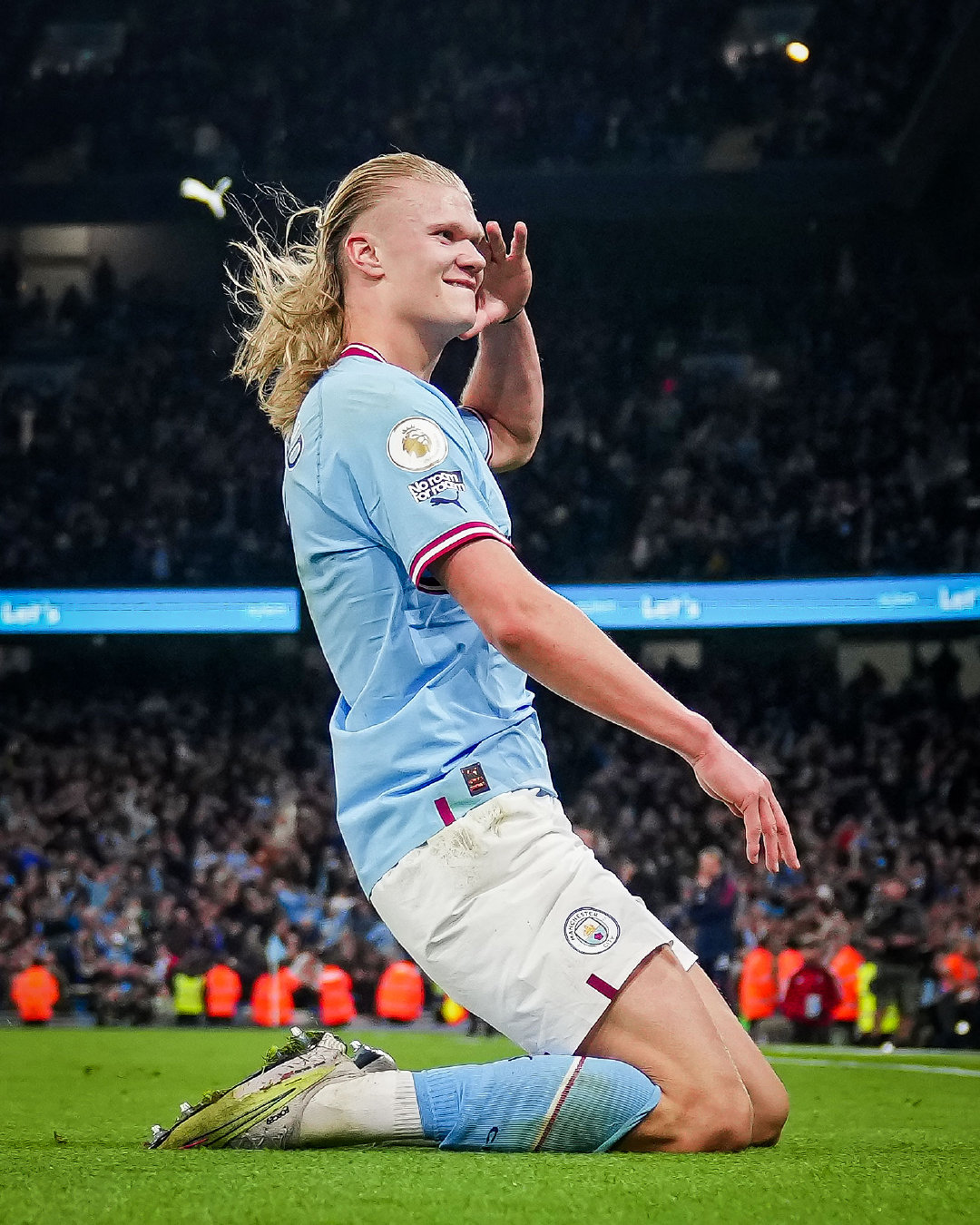 在鹿特丹 在鹿特丹