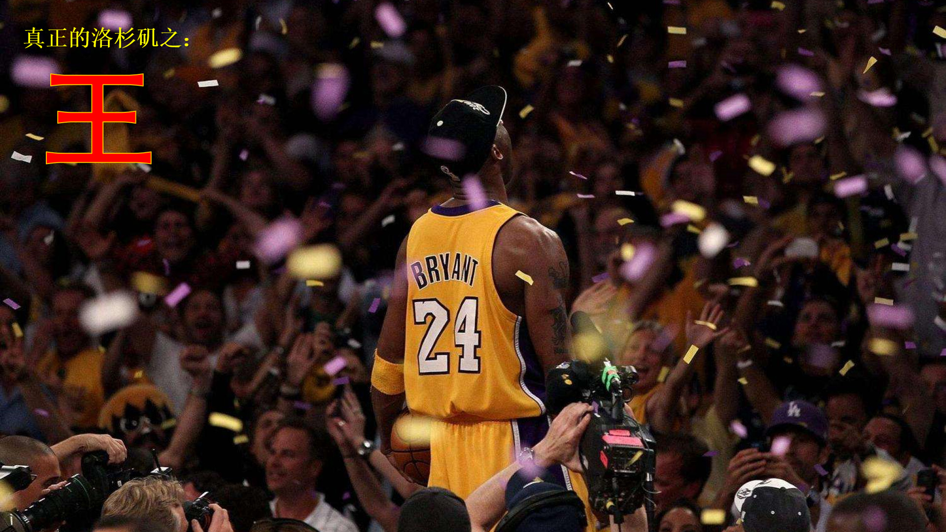 的专业坚持 的专业坚持